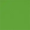 color option