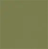 color option